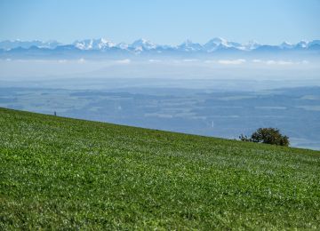 Swiss Jura and French Alps