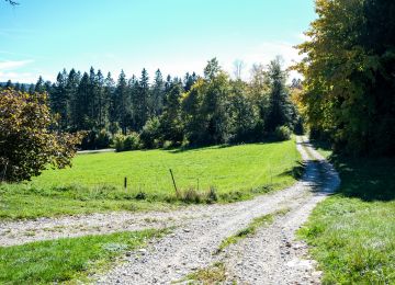 Swiss Jura and French Alps