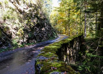 Swiss Jura and French Alps