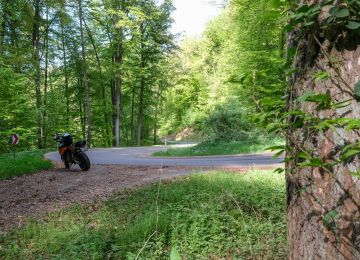 Between Moselle & Saarland