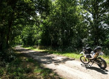 In the Dutch mountains & beyond