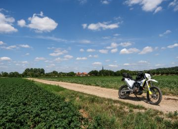 In the Dutch mountains & beyond