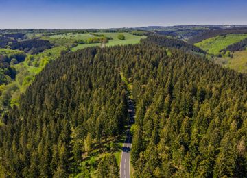 Pan Germania (Germany)