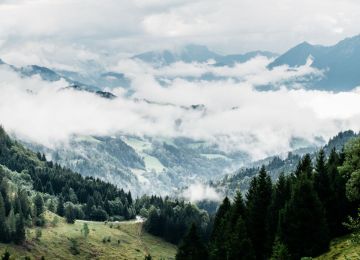 Pan Germania (Germany)