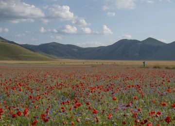 Norcia - Castelluccio - Arquata del Tronto (47 km, Italy)