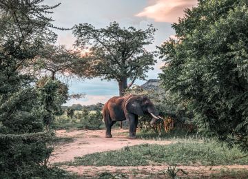 Riding the Heart of Malawi: A Journey Along Lake Malawi