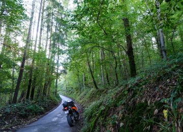 Rue Gayolle, a fantastic road.