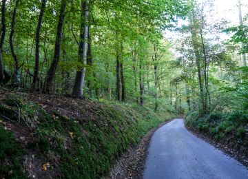 Rue Gayolle, a fantastic road.