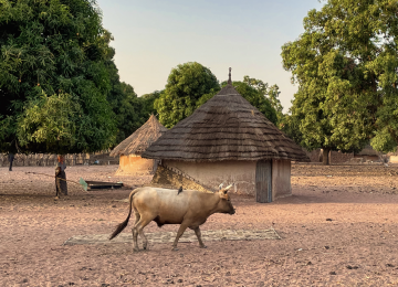 Pumwee on Wheels - An adventure through Africa, into Europe...