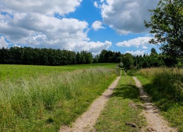 Trans Euro Trail: Denmark
