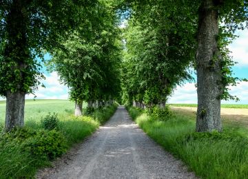 Trans Euro Trail: Denmark