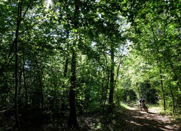 Trans Euro Trail:  France, Section 13 