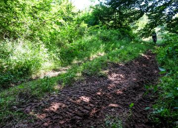 Trans Euro Trail:  France, Section 13 