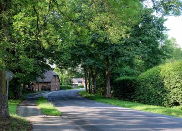 TET Germany – section 1