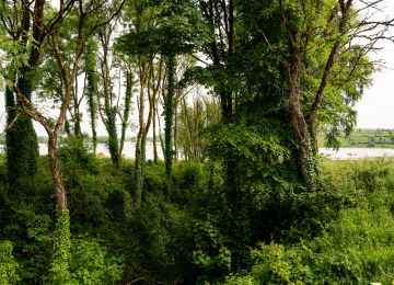 Close  to Slieve Russell Hotel Golf & Country Club, more and more lakes present themselves in the scenery. Sometimes, you just have to stop and take in the view.