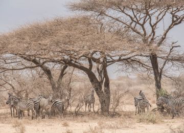 On Her Bike – Tanzania and Zanzibar