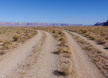 RTWPaul: Grand Canyon