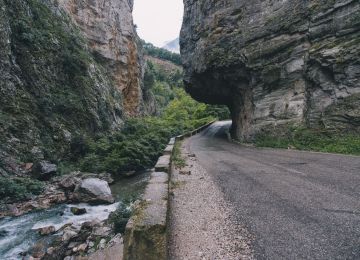 Road from the river Karpenisiotis towards Proysos. (c) Christos Tzoutis