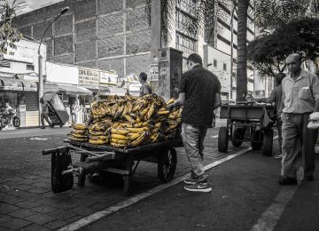 Colombia’s Paradise of Coffee and Dirt