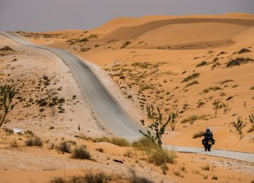 The Sahara in all its vastness.