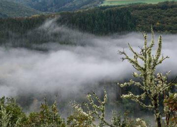 Ardennes off the beaten track