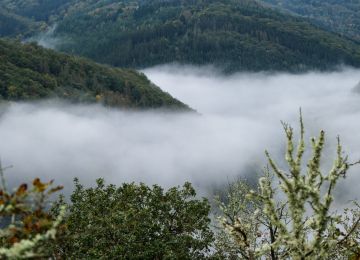 Ardennes off the beaten track