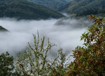Ardennes off the beaten track