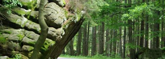 100th Turns Road