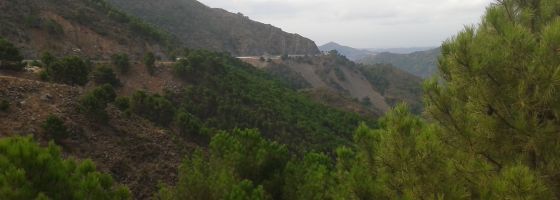 A397, El Madrona - Ronda