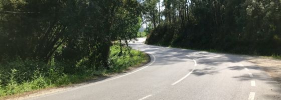 N16 Albergaria-a-Velha to Sever do Vouga