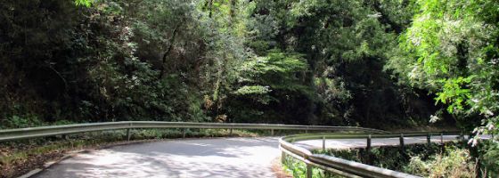 Fonts del Montseny