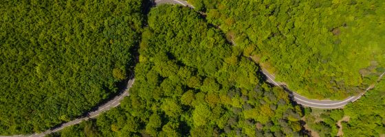 L249 Wolfgarten to Heimbach