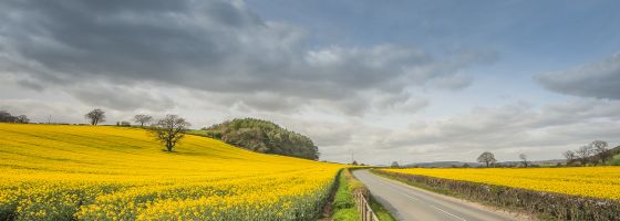 A4110, A44 – Adforton
