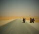 Pumwee on Wheels part I - An adventure through Africa, into Europe...