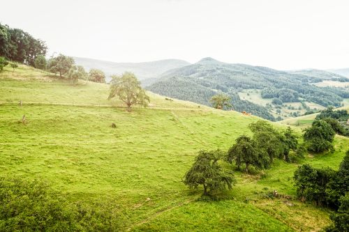 Dag 2 - Heudicourt - Massif Grand Ventron