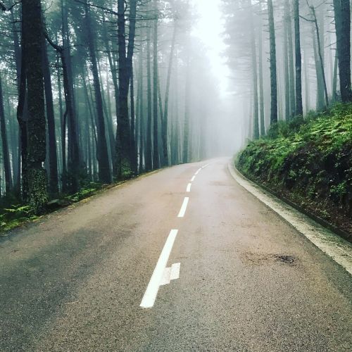 Tour de Corse