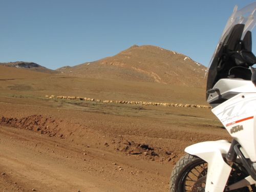 Morocco 2019