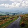 Peter Praet